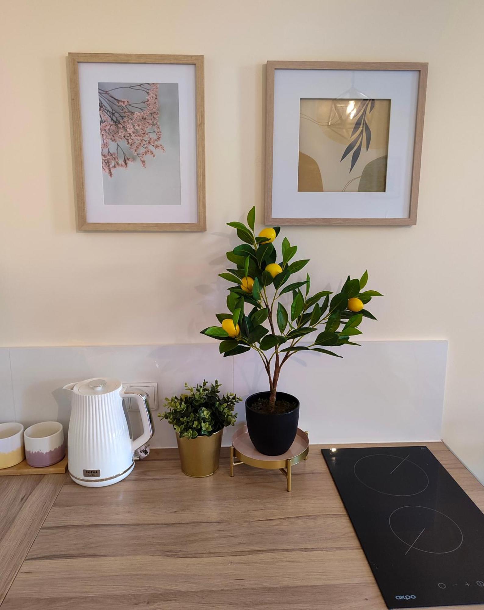 Apartamenty Piekary 11 Przy Wisle By Rentoom Stary Toruń Esterno foto